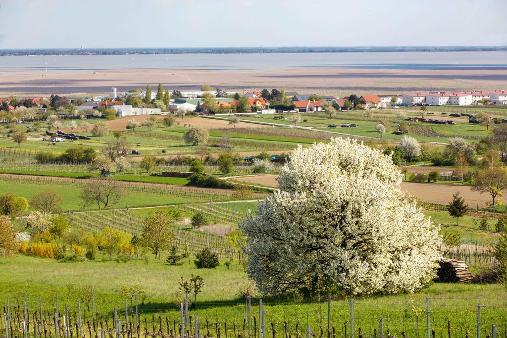 Country Lake Villa Breitenbrunn (Burgenland) Exterior foto